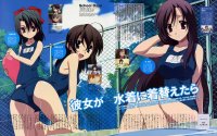 BUY NEW school days - 141266 Premium Anime Print Poster