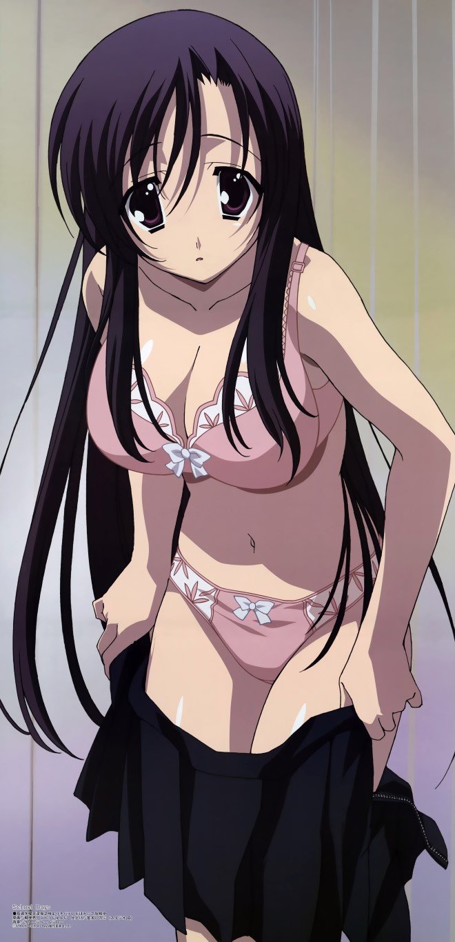 BUY NEW school days - 142611 Premium Anime Print Poster school days - 143803 image