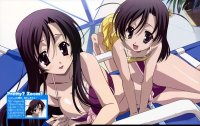 BUY NEW school days - 143803 Premium Anime Print Poster
