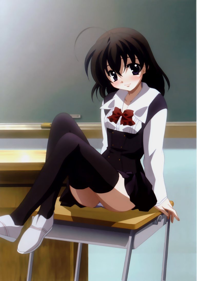 BUY NEW school days - 171430 Premium Anime Print Poster school days - 171579 image