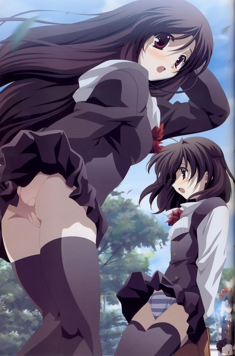 BUY NEW school days - 71562 Premium Anime Print Poster school days - 71564 image