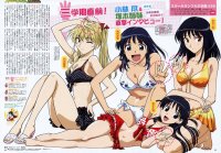BUY NEW school rumble - 186942 Premium Anime Print Poster