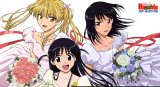 BUY NEW school rumble - 191341 Premium Anime Print Poster