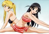 BUY NEW school rumble - 30443 Premium Anime Print Poster
