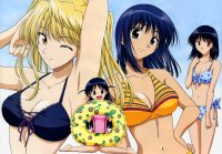 BUY NEW school rumble - 57230 Premium Anime Print Poster