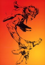 BUY NEW scryed - 118675 Premium Anime Print Poster