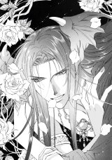 BUY NEW seimaden - 108714 Premium Anime Print Poster