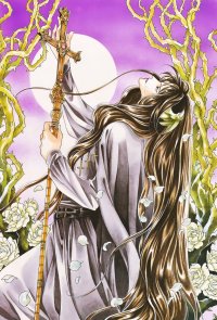 BUY NEW seimaden - 163553 Premium Anime Print Poster