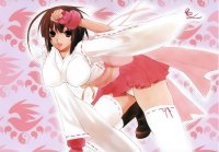 BUY NEW sekirei - 184161 Premium Anime Print Poster