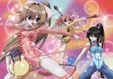 BUY NEW seto no hanayome - 187271 Premium Anime Print Poster