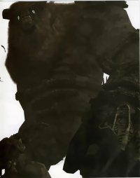 BUY NEW shadow of the colossus - 142999 Premium Anime Print Poster