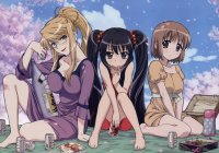 BUY NEW shakugan no shana - 121658 Premium Anime Print Poster