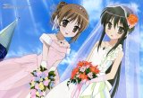 BUY NEW shakugan no shana - 60446 Premium Anime Print Poster