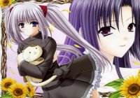 BUY NEW shuffle - 101439 Premium Anime Print Poster