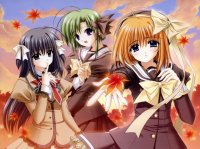 BUY NEW shuffle - 101634 Premium Anime Print Poster