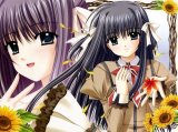 BUY NEW shuffle - 101635 Premium Anime Print Poster