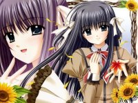 BUY NEW shuffle - 101635 Premium Anime Print Poster