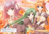 BUY NEW shuffle - 101804 Premium Anime Print Poster