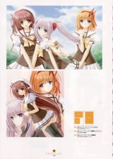 BUY NEW shuffle - 134065 Premium Anime Print Poster