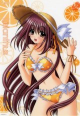 BUY NEW shuffle - 139856 Premium Anime Print Poster