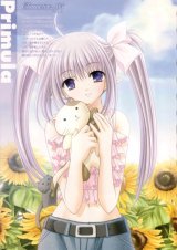 BUY NEW shuffle - 15897 Premium Anime Print Poster