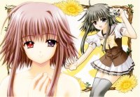 BUY NEW shuffle - 17277 Premium Anime Print Poster