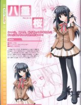 BUY NEW shuffle - 185325 Premium Anime Print Poster