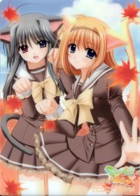 BUY NEW shuffle - 187010 Premium Anime Print Poster
