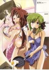 BUY NEW shuffle - 56847 Premium Anime Print Poster
