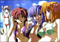 BUY NEW shuffle - 60097 Premium Anime Print Poster