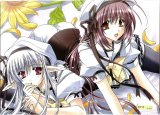 BUY NEW shuffle - 71070 Premium Anime Print Poster