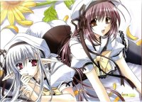 BUY NEW shuffle - 71070 Premium Anime Print Poster