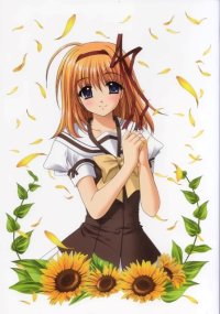 BUY NEW shuffle - 87331 Premium Anime Print Poster