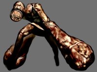 BUY NEW silent hill - 117116 Premium Anime Print Poster