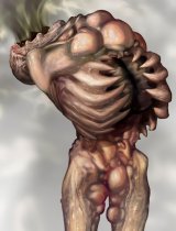 BUY NEW silent hill - 160344 Premium Anime Print Poster