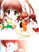 BUY NEW sister princess - 15929 Premium Anime Print Poster