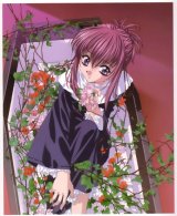 BUY NEW sister princess - 28953 Premium Anime Print Poster