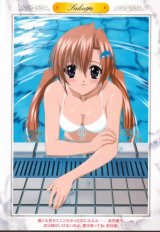 BUY NEW sister princess - 31041 Premium Anime Print Poster