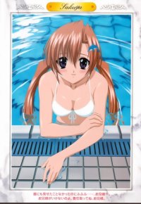 BUY NEW sister princess - 31041 Premium Anime Print Poster