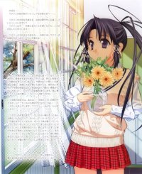 BUY NEW sister princess - 39194 Premium Anime Print Poster