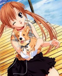 BUY NEW sister princess - 7356 Premium Anime Print Poster