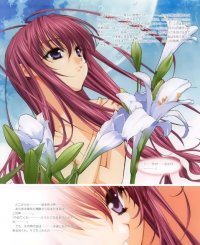 BUY NEW sister princess - 7562 Premium Anime Print Poster