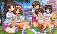 BUY NEW sister princess - 97155 Premium Anime Print Poster