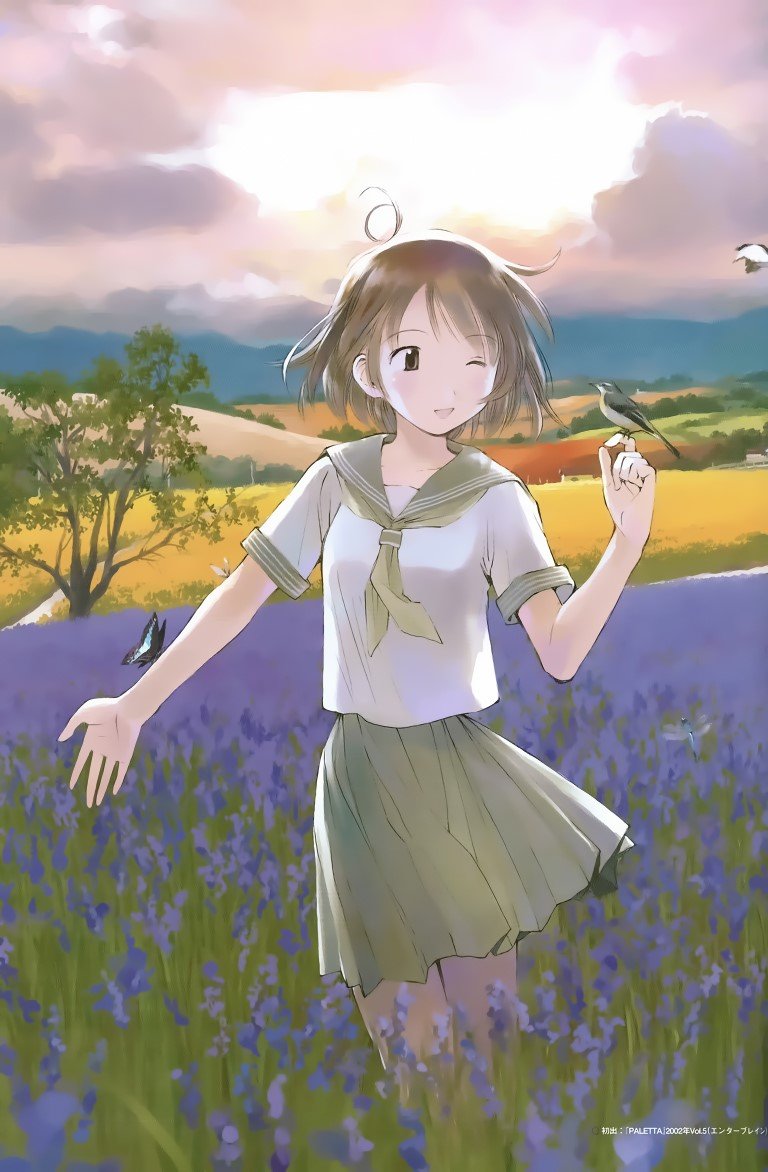 BUY NEW somedays dreamers - 328 Premium Anime Print Poster somedays dreamers - 34058 image