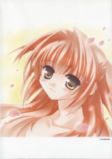 BUY NEW sora iro no organ - 118027 Premium Anime Print Poster