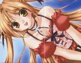 BUY NEW sora iro no organ - 66675 Premium Anime Print Poster