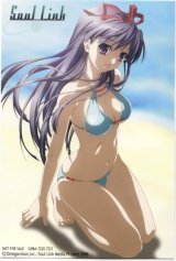 BUY NEW soul link - 73882 Premium Anime Print Poster