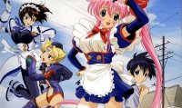 BUY NEW steel angel kurumi - 129460 Premium Anime Print Poster