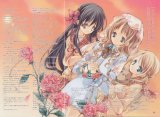 BUY NEW strawberry panic! - 103878 Premium Anime Print Poster