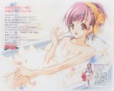 BUY NEW strawberry panic! - 114230 Premium Anime Print Poster